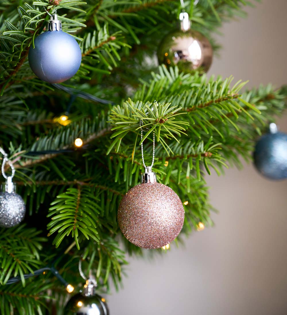 Ice, Ice Baubles & Star Pack of 30