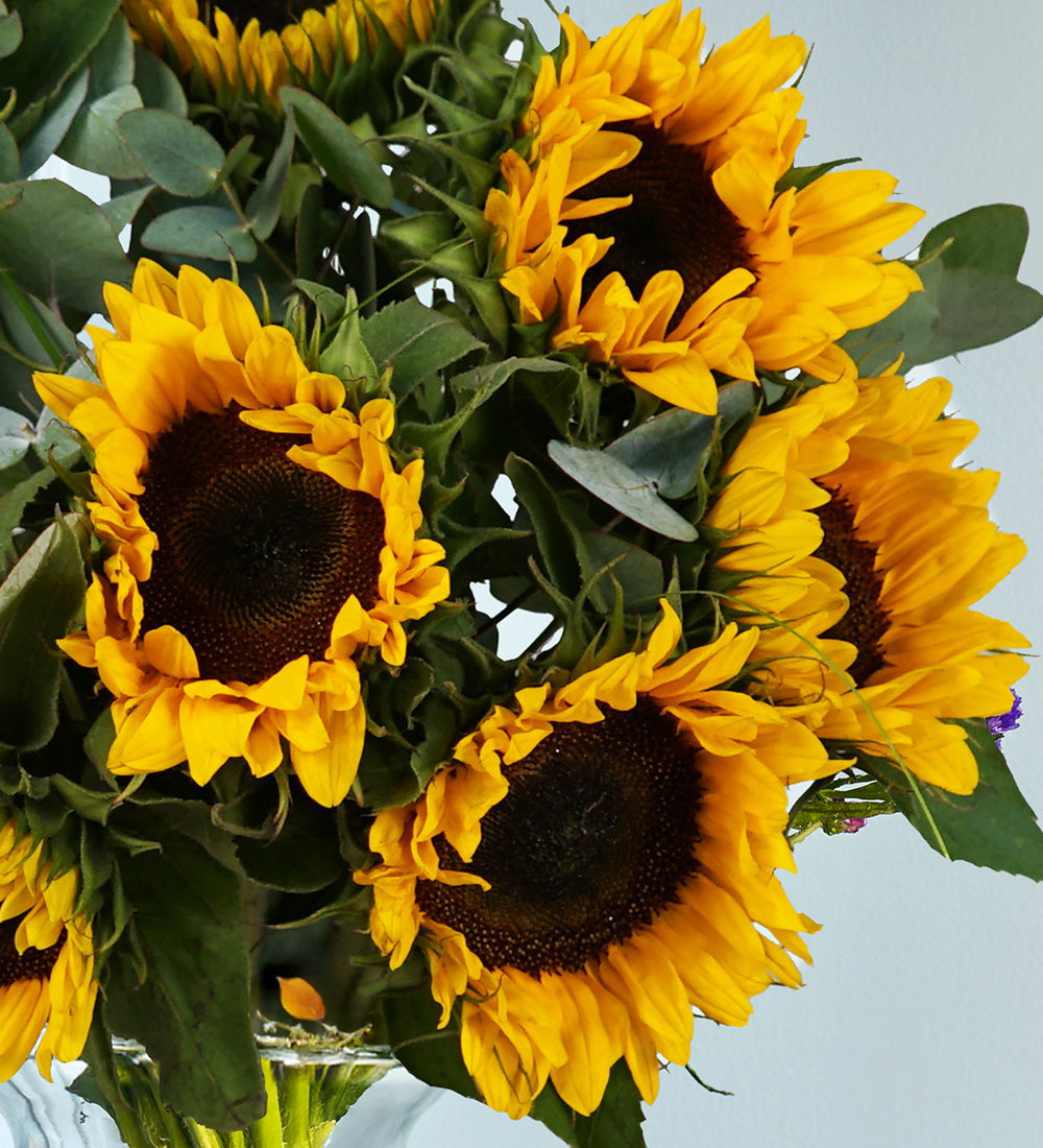 Simply Sunflowers