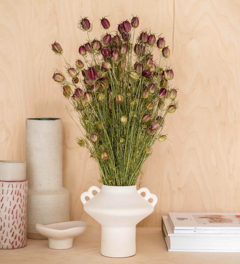 Dried Nigella Bunch
