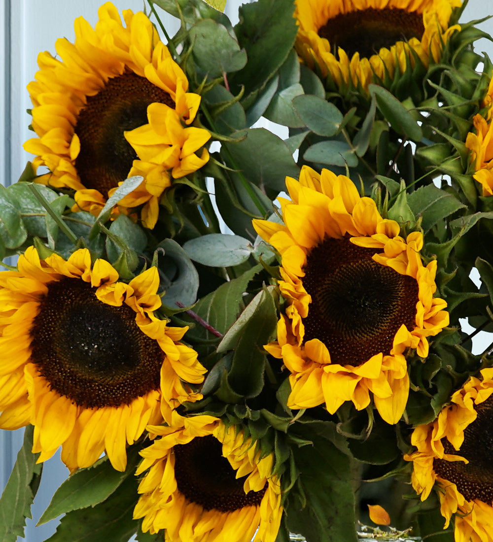 Simply Sunflowers